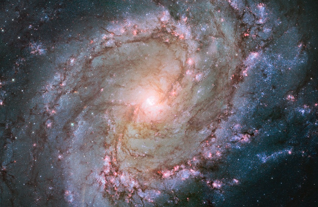 A Hubble image of spiral galaxy Messier 83, also knows the Pinwheel galaxy. Credit: NASA, ESA, and the Hubble Heritage Team (STScI/AURA). Acknowledgement: William Blair (Johns Hopkins University)